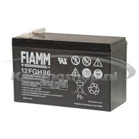 Iame Mini Swift 60cc Battery
