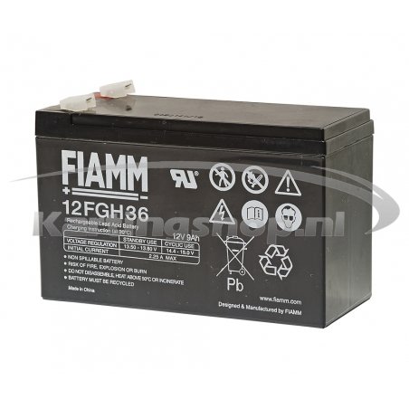 Batería Iame Mini Swift 60cc