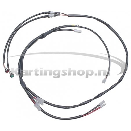 Iame Mini Swift 60cc ledningsnett