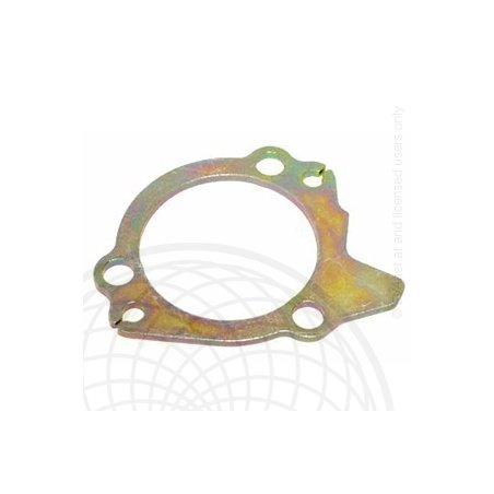 Starter motor support