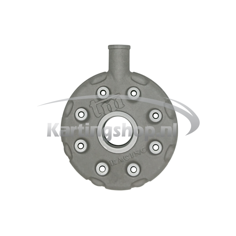 TM KZ-R1 Zylinderkopf Titan