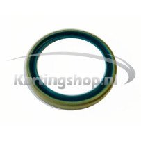 TM, KZ-R1 oil Seal clutch cover 40x52x5 steel | Kart Racing