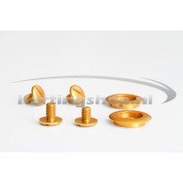 Antman Arai visor mounting kit GP-6K-SK-6 Goud
