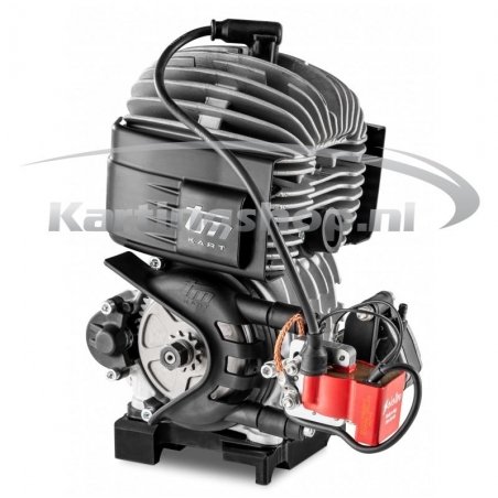 TM Mini 60cc Motor Mini 3 Selettra version