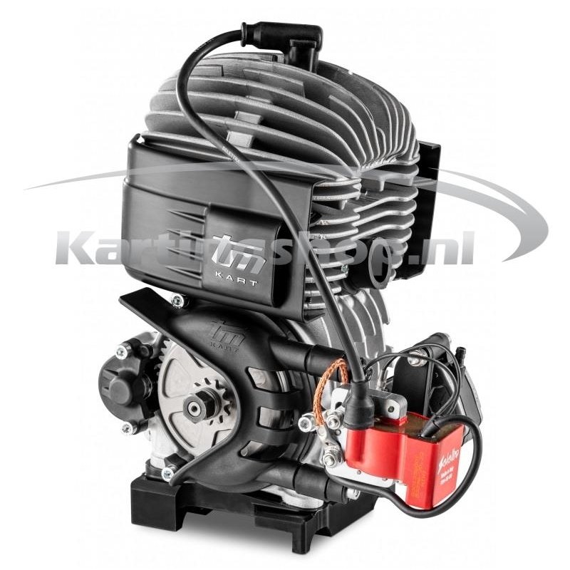 TM Mini 60cc Motor Mini 3 PVL version