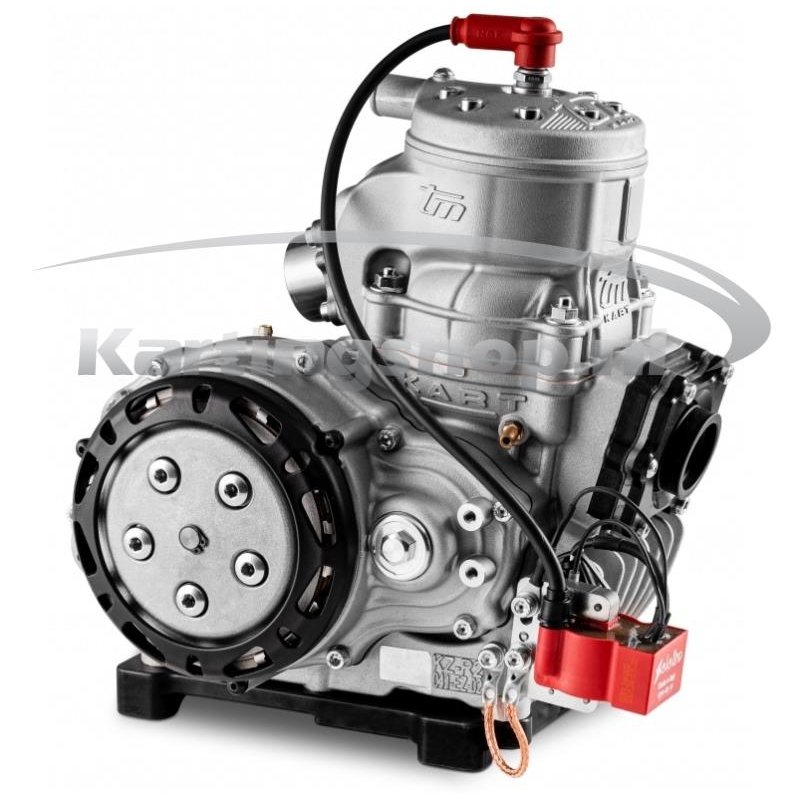 TM KZ R2 Vakio engine