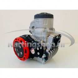 TM KZ R1 Preto Edition engine