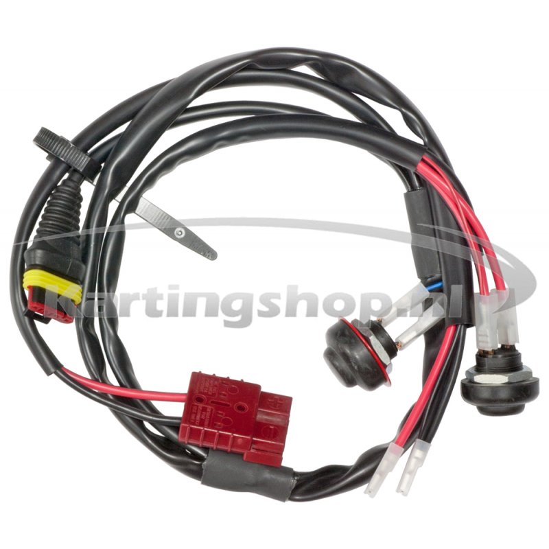 Iame 60cc Wiring harness 2023 type