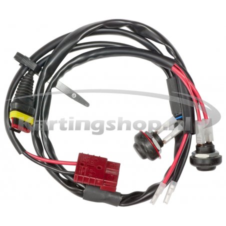 Iame 60cc ledningsnett 2023 type