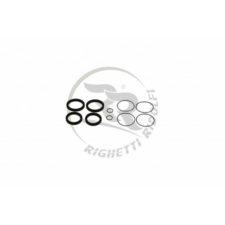 Revision set RR EVO Speed brake caliper rear