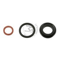 RR Rempop revision set