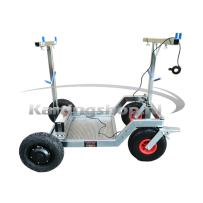 Dalmi Kart transporter Go 260 (electric)