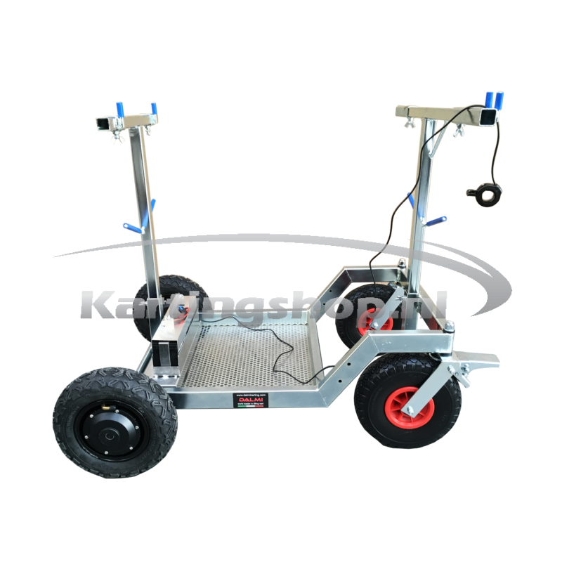 Dalmi Kart transporter Go 260 (electric)