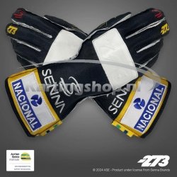 Minus 273 AYRTON SENNA hansker Sort