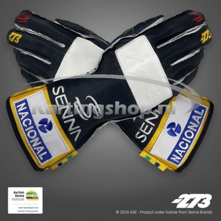 Minus 273 AYRTON SENNA Handschuhe Schwarz