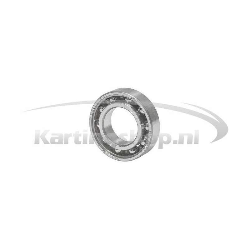 copy of Balancer shaft leje 6005 TNH/C3 Rotax Max