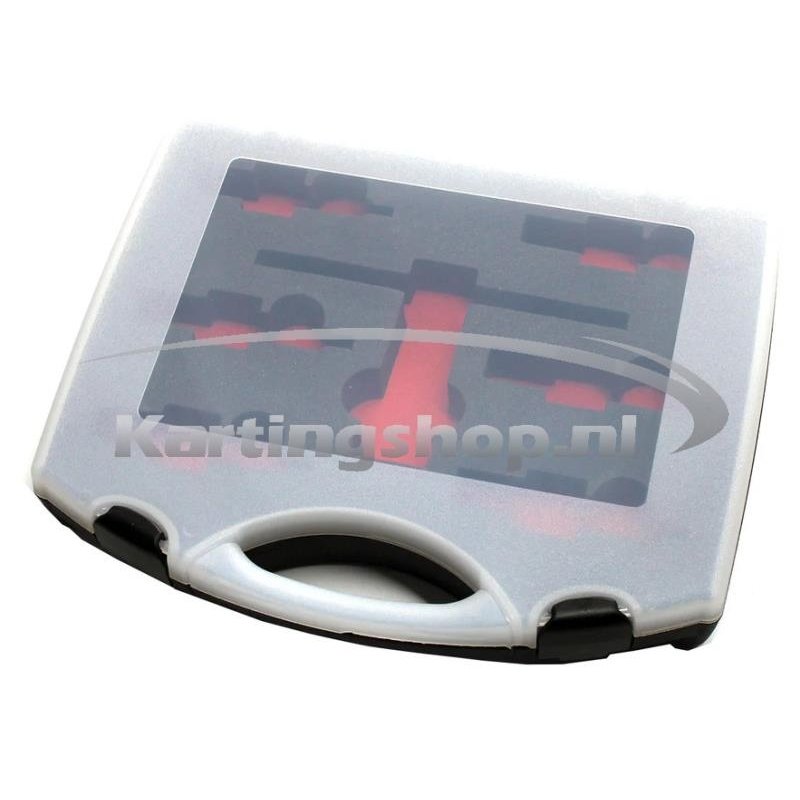 Spark plug storage case