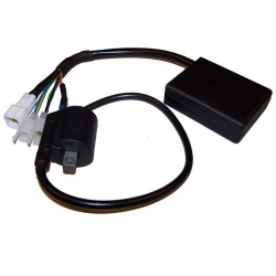 Programmeerbare CDI ontstekingsset voor Rotax Max