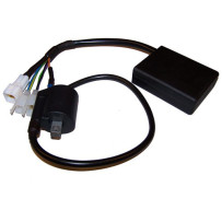 Programmeerbare CDI ontstekingsset voor Rotax Max