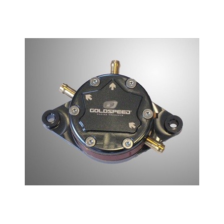 Goldspeed benzinepomp 38 liter/uur 