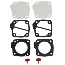 Dellorto benzinepomp revisie set P34 55 liter/uur 