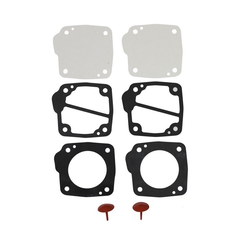 Dellorto benzinepomp revisie set P34 55 liter/uur 