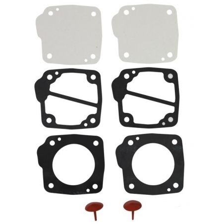 Dellorto benzinepomp revisie set P34 55 liter/uur 