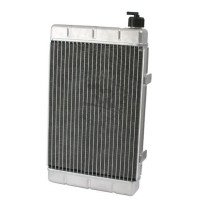 RR Radiateur standaard 346x252X42mm