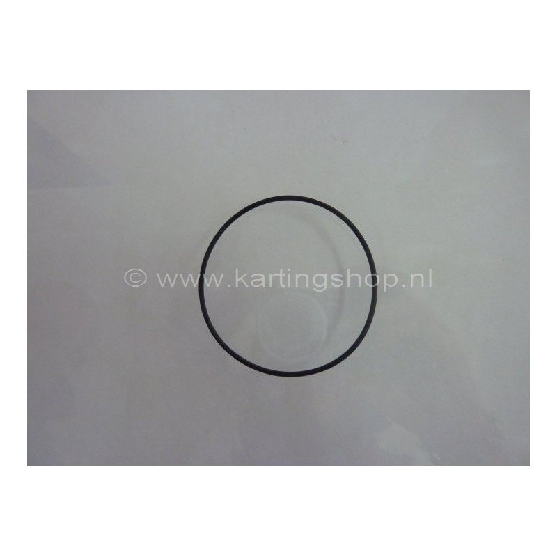 7. TM o-ring piccolo