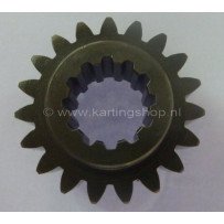 31. TM Primäre getriebene ZAHNRAD Z19 K9