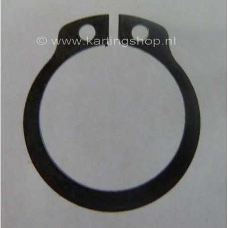 32. TM Spring versnellingsas 20 (brog gear)