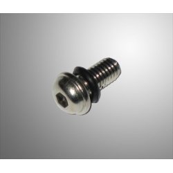 Borgbout Douglas + O ring voor velg