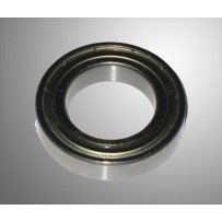 Velglsger 25mm 6905ZZ