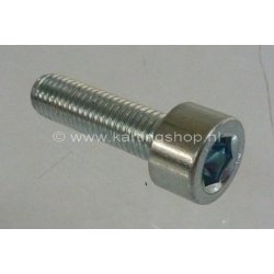 TM Motorsteun Bout M10×40mm