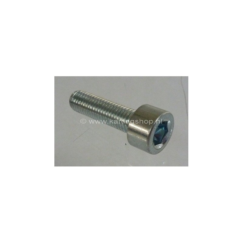 TM Motorsteun Bout M10×40mm