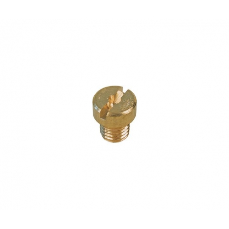 Nella parte inferiore dello spruzzatore Dellorto 5 mm 30 sino 60 (basso)