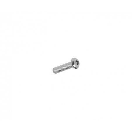 Round head Hexagon socket screw M5 × 20 mm