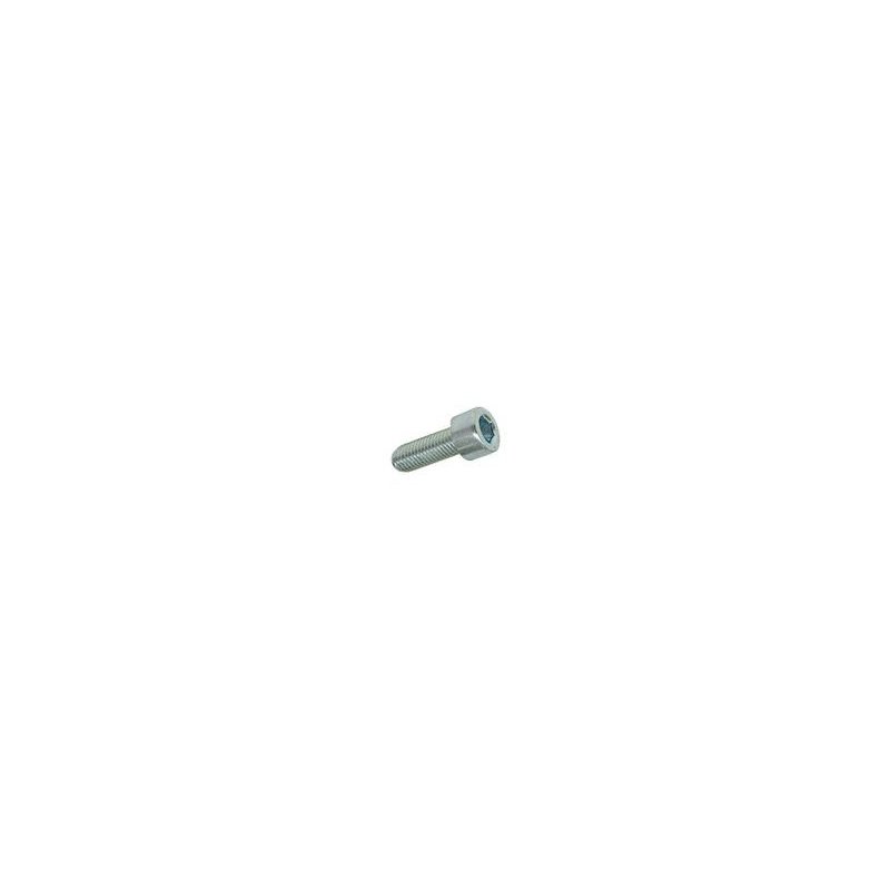 Hexagon screw M4 × 10 mm
