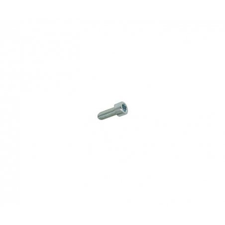 Hexagon screw M4 × 10 mm