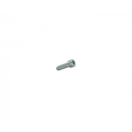 Hexagon screw M4 × 12 mm
