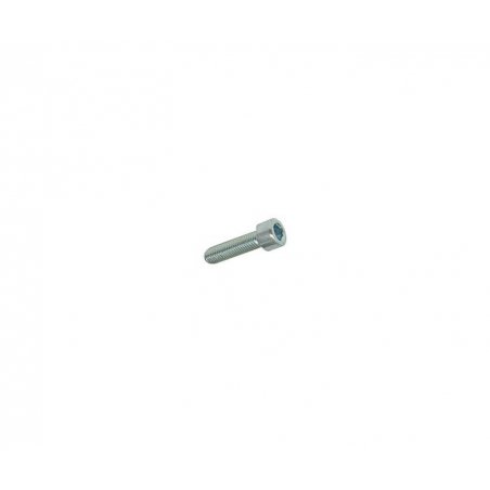 Hexagon screw M4 × 16 mm