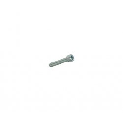 Hexagon screw M4 × 20 mm