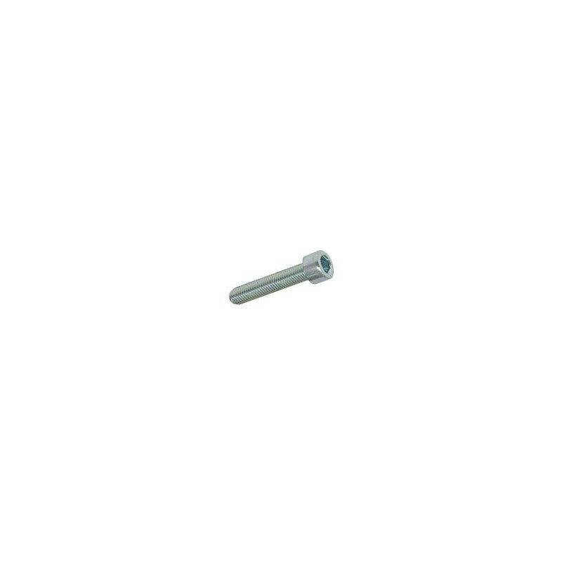 Hexagon screw M4 × 20 mm