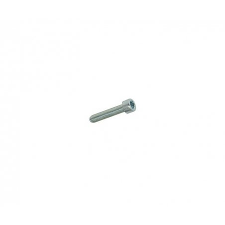 Hexagon screw M4 × 20 mm