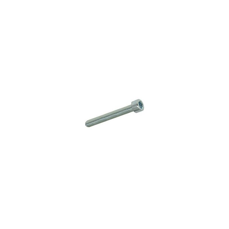 Hexagon screw M4 × 30 mm