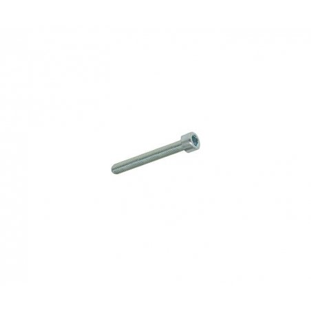 Hexagon screw M4 × 30 mm