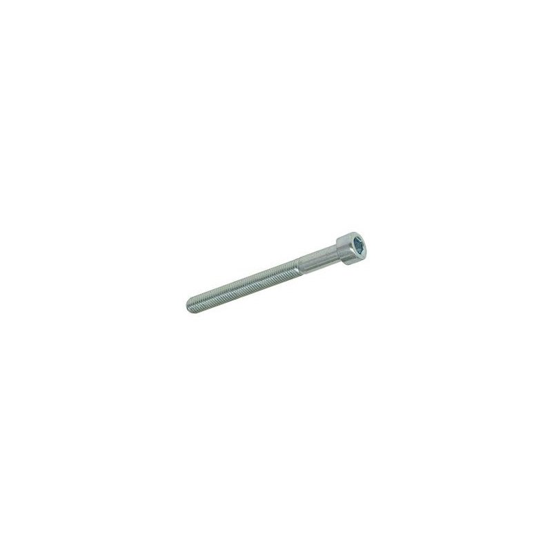 Hexagon screw M4 × 40 mm