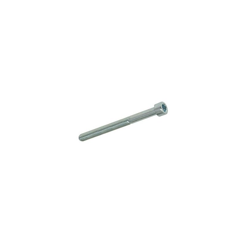 Hexagon screw M4 × 45 mm