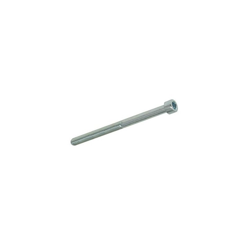 Hexagon screw M4 × 55 mm