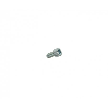 Hexagon screw M5 × 10 mm